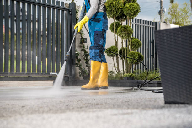 Animal Enclosure Cleaning in Henderson, TX